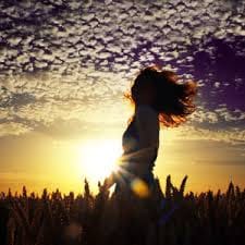 Hoàng Văn Tuyên avatar